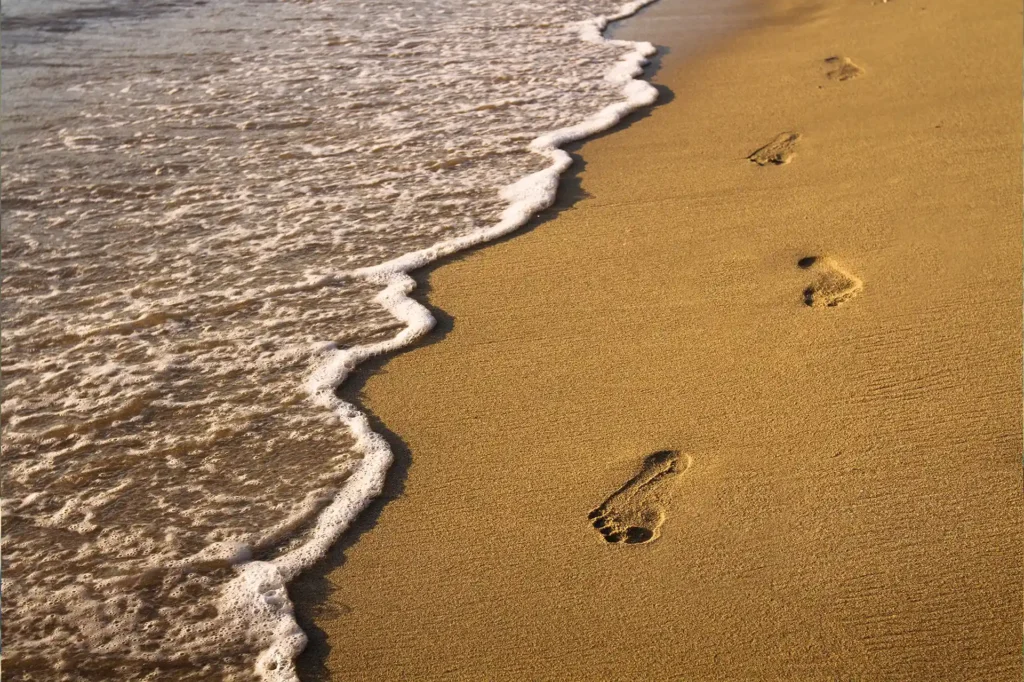 persoonlijke-begeleiding